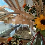 奥尔赫亚斯鲍尔酒店 Saint Wolfgang
