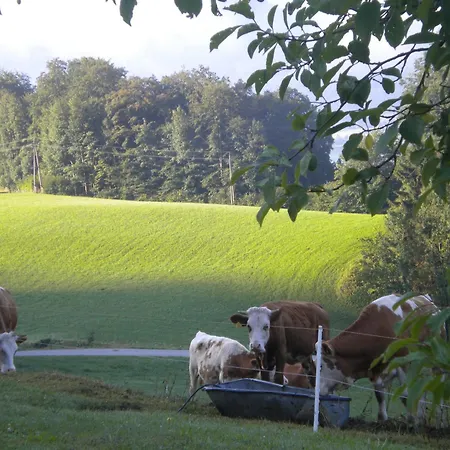 아파트 Auerhiasbauer Saint Wolfgang