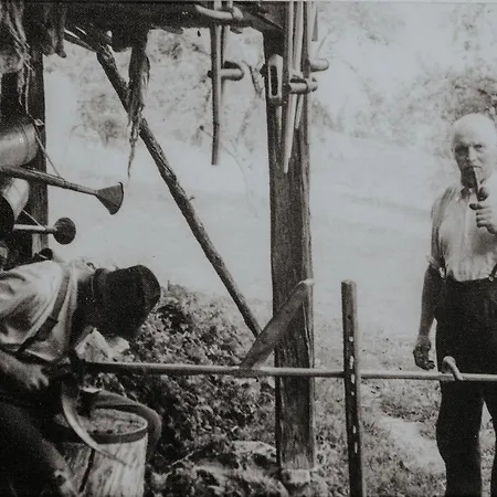 Auerhiasbauer Daire *