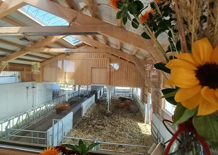 Auerhiasbauer Saint Wolfgang