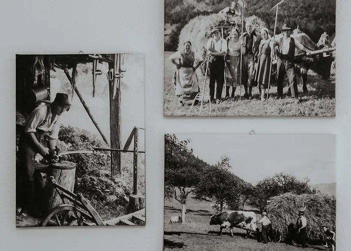 Daire Auerhiasbauer Saint Wolfgang