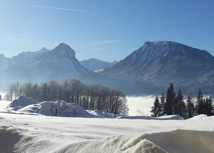 Daire Auerhiasbauer *