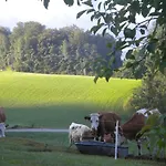 Διαμέρισμα Auerhiasbauer Saint Wolfgang