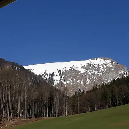 Appartement Auerhiasbauer *