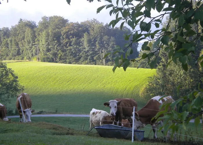 شقة Auerhiasbauer Saint Wolfgang