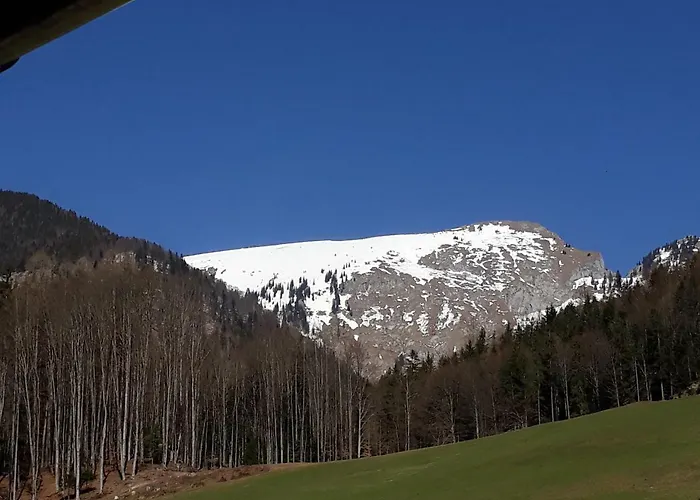 شقة Auerhiasbauer *